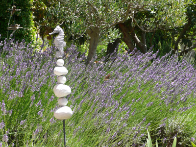 Seepferdchen im Lavendel