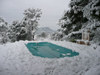 Schnee