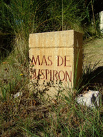 Stein "Mas de Suspiron"