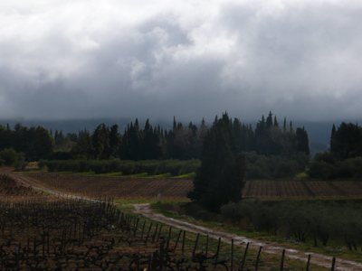 Dunkle Wolken mit Regen