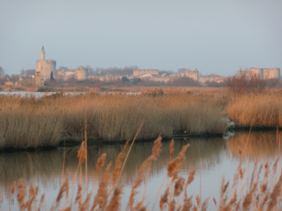 Winter-Abendstimmung bei Aigues-Mortes