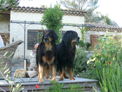 Quieros und Reiko bewachen uns!